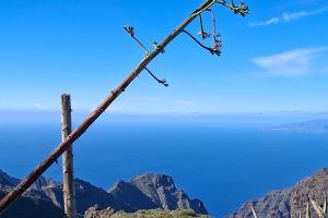 37ef2d18-b57f-4415-a062-dacc17494bef