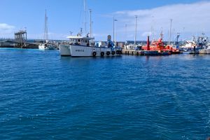 417bc4c9-43c9-49d6-9ab2-5648d4a313bd