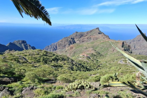 5e871d49-adec-40dc-a584-255442b1cf39