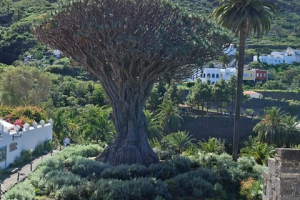 66c6846d-2f98-45a9-bc17-8d534cc1f931