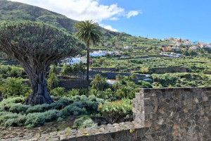 717109a6-3303-4557-96df-1ab3357e4749