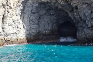 8622ea92-f0ad-41b5-9b6a-0c79f6de26c8