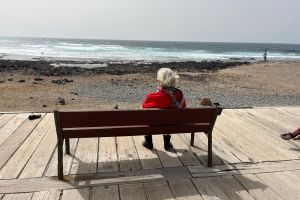 99b0b710-d938-4dc1-be8a-5022f83f15ec