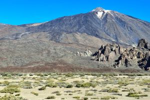 9e272ddf-1571-4ba0-9d44-809ef0d093a8 (2)