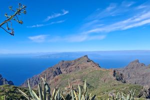 a7a42692-2975-4160-a199-498d0b9254aa