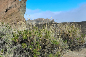 acf09a85-b4f7-4f2b-8197-2d4eed5a2390