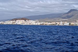 c955de4e-ff5c-493d-85cd-386e440ed744