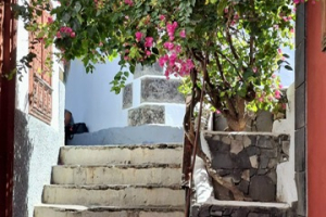 d2e0fbcf-5ff1-4bc6-8246-d71a51571655