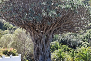 d36ddd5b-261f-4a6f-a902-34e12debe832