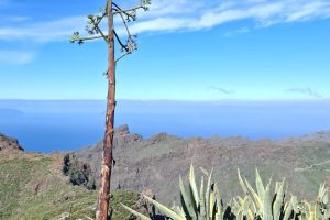 e3aa4990-c59a-40ed-878a-d9976a777bcd