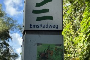ems3