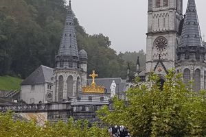 IMG_3567