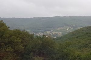 IMG_3579