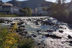 IMG_3614