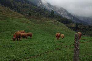 IMG_3653