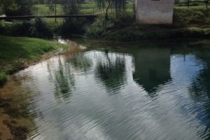 IMG_3679